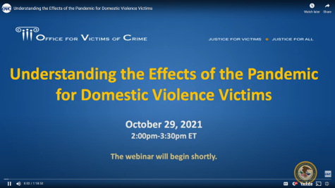 Understanding Effects of the Pandemic for Domestic Violence Victims