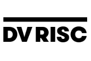 Elevating Survivor Voices in IPV Responses