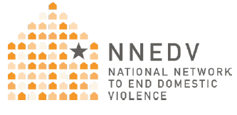 Domestic Violence Counts Report National Summary