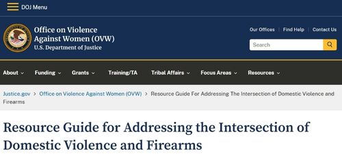 Resource Guide for Addressing the Intersection of Domestic Violence an