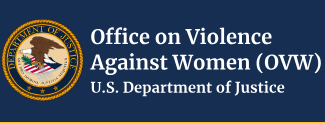 Improving Law Enforcement Response to Sexual Assault and DV